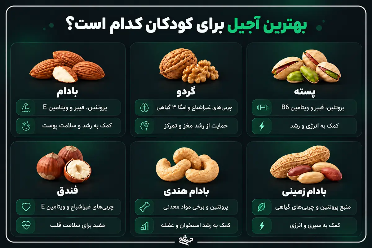 اینفوگرافیک بهترین آجیل برای کودکان کدام است؟