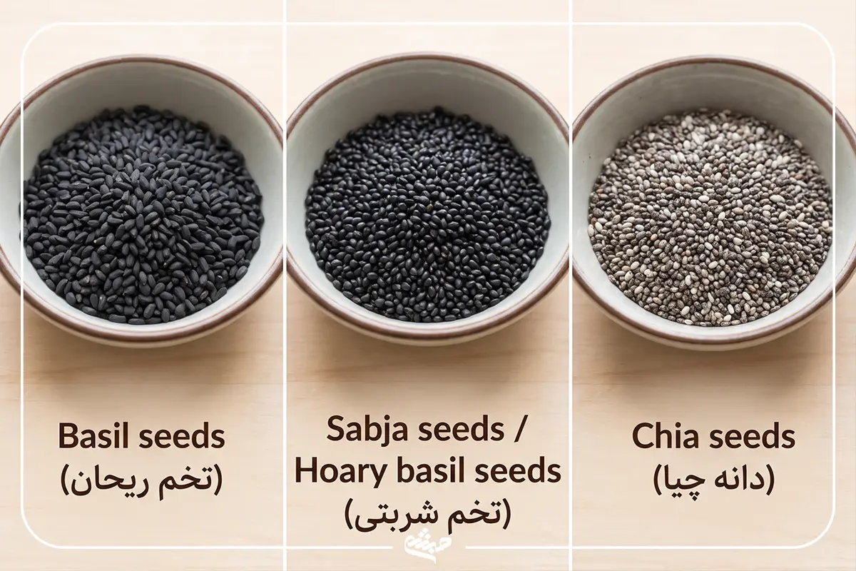 مقایسه ظاهری تخم ریحان، تخم شربتی و دانه چیا در حالت دانه خشک