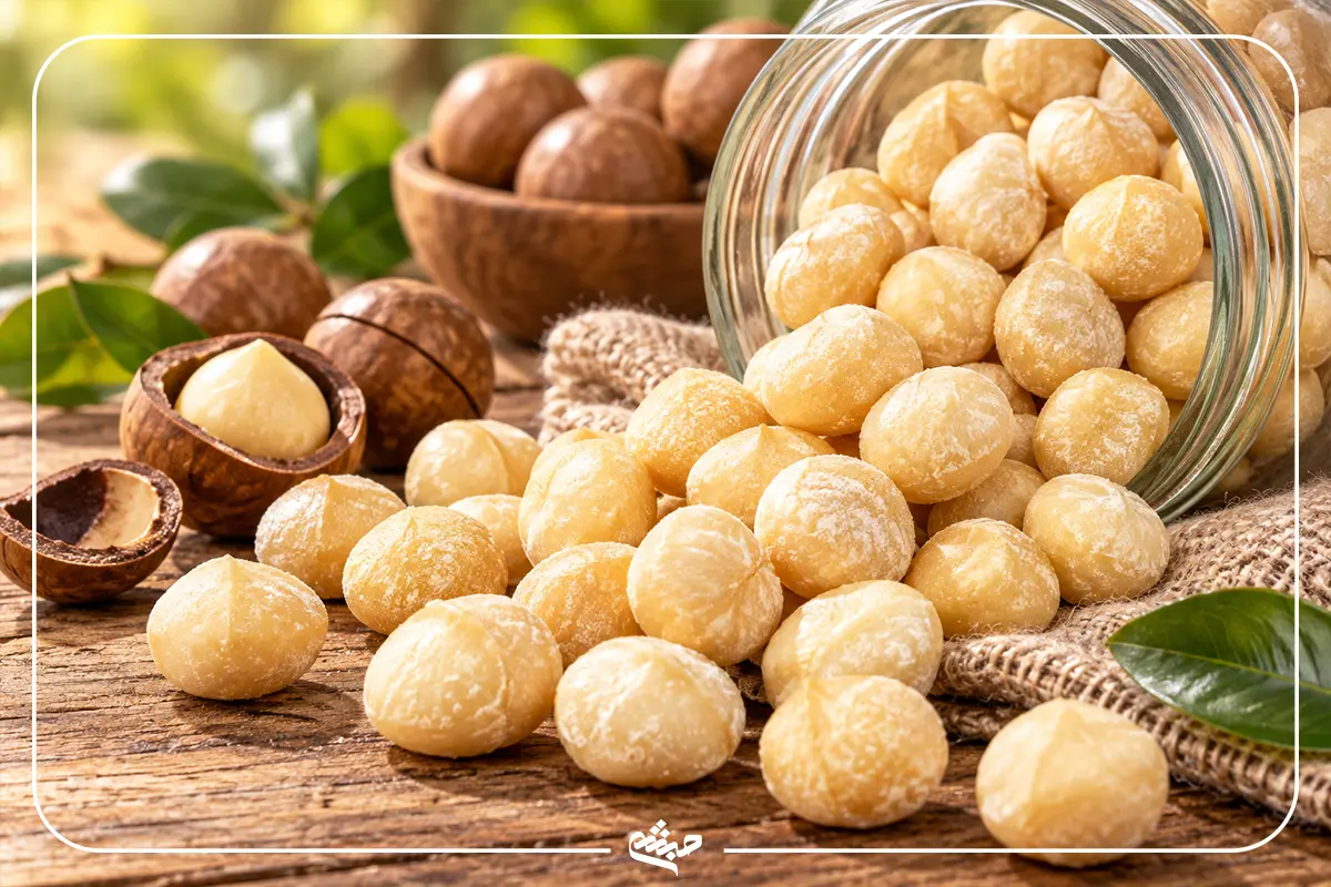 مغز فندق ماکادمیا استرالیا زیرو حبشی