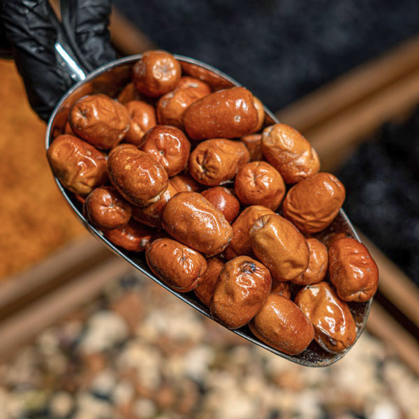 سنجد حاج حسین اعلاء