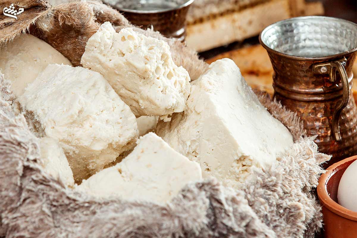 نمونه اولیه پنیر