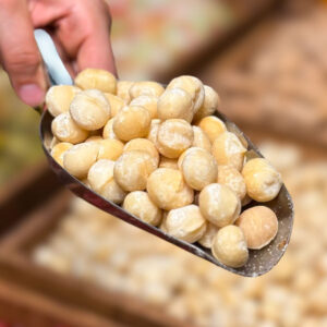 مغز فندق ماكادميا استرالیا زیرو